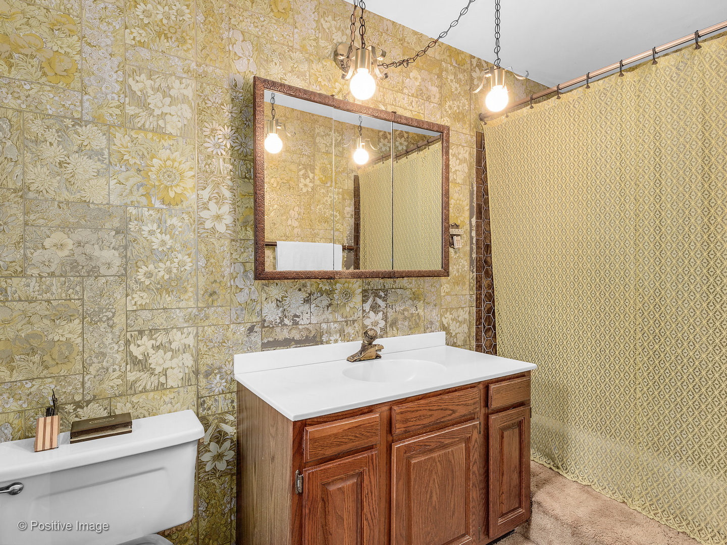 S206 Summit Drive Winfield, IL 60190 - Photo 20 of 34 a bathroom with a sink a toilet and shower curtain