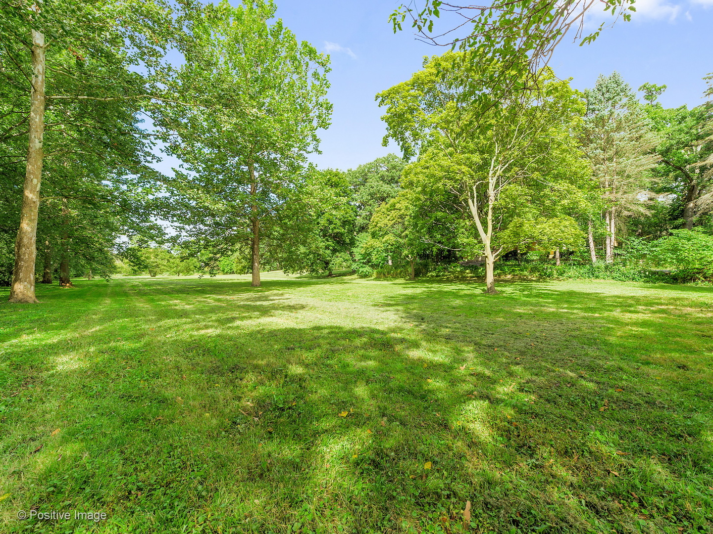 S206 Summit Drive Winfield, IL 60190 - Photo 27 of 34 a view of a grassy field with trees