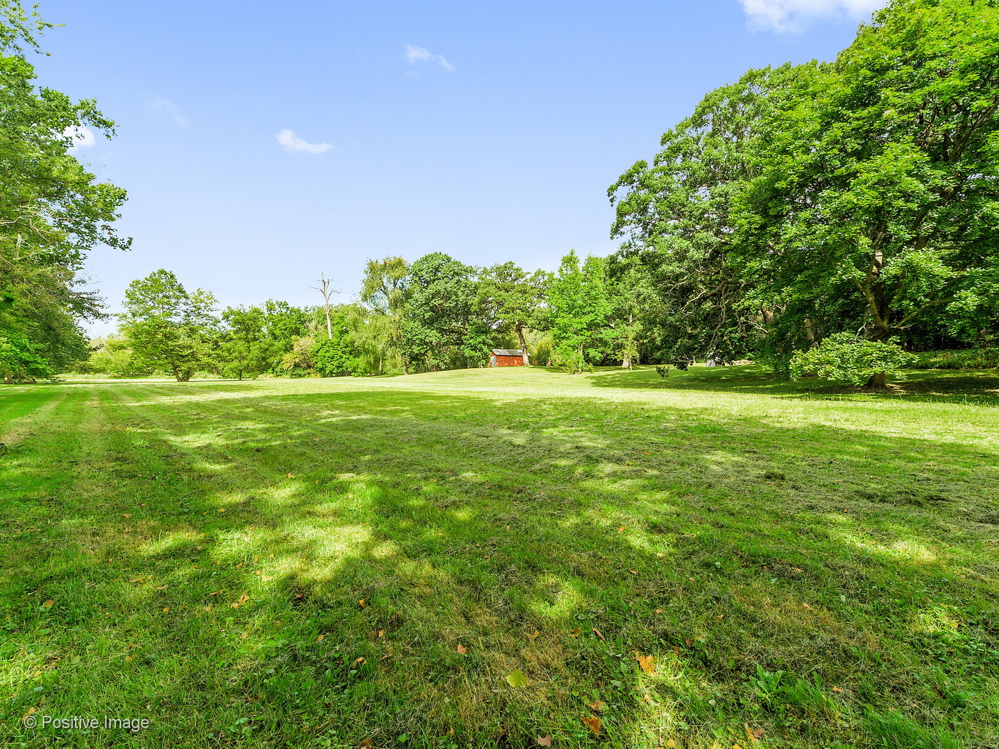 S206 Summit Drive Winfield, IL 60190 - Photo 28 of 34 a view of a grassy field with trees