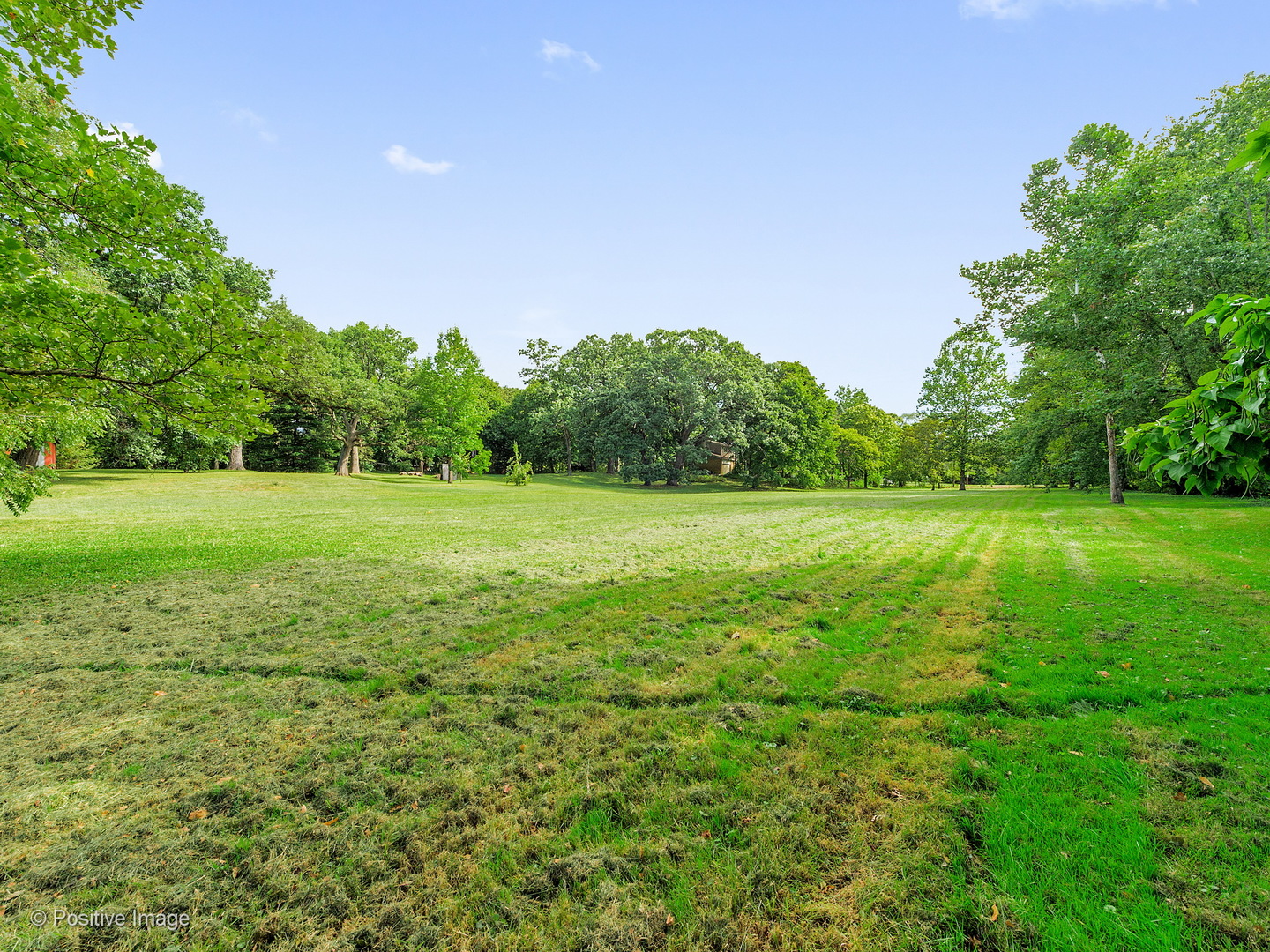 S206 Summit Drive Winfield, IL 60190 - Photo 29 of 34 a view of a green field with trees in the background