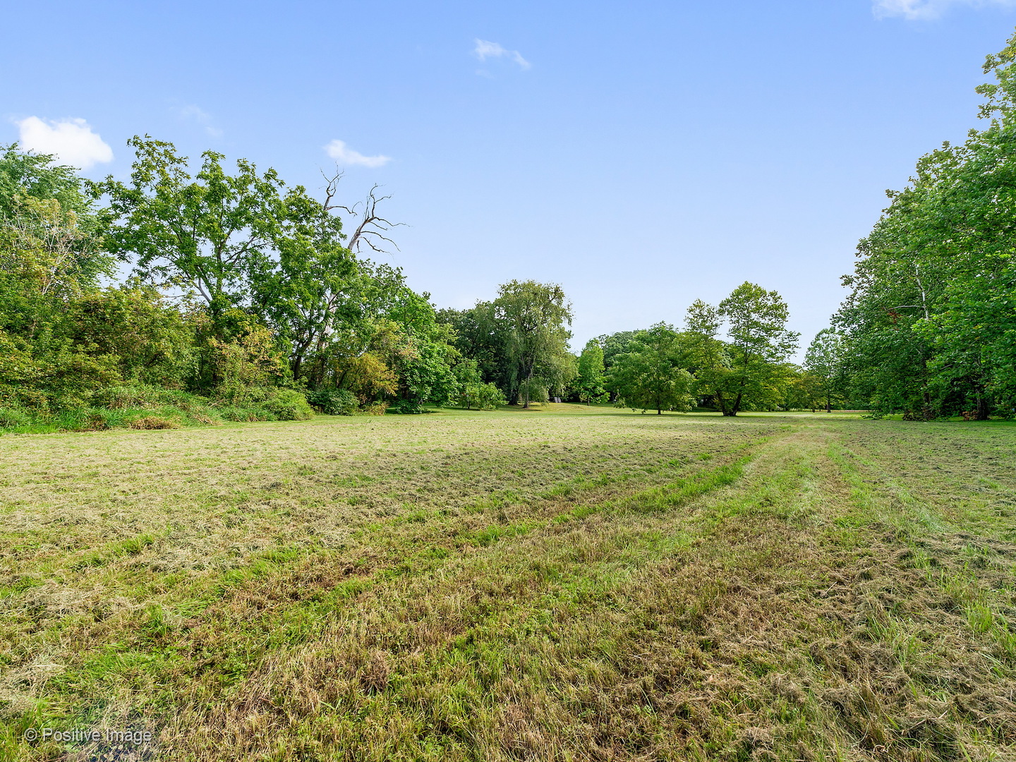 S206 Summit Drive Winfield, IL 60190 - Photo 31 of 34 a view of yard with green space