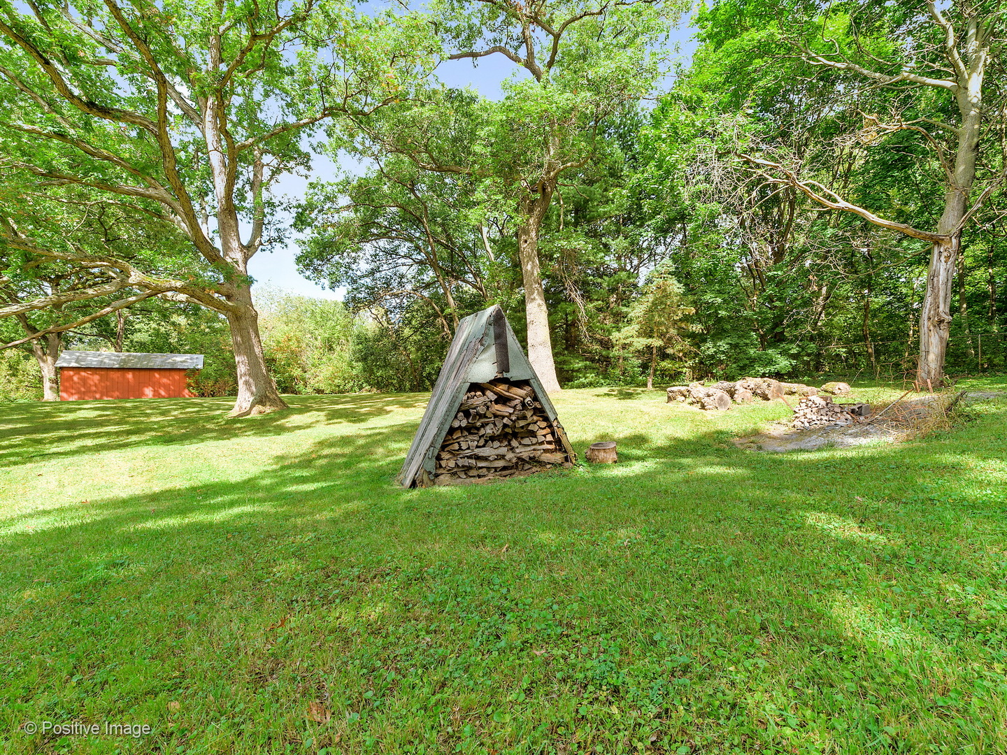 S206 Summit Drive Winfield, IL 60190 - Photo 33 of 34 a view of a backyard with large trees