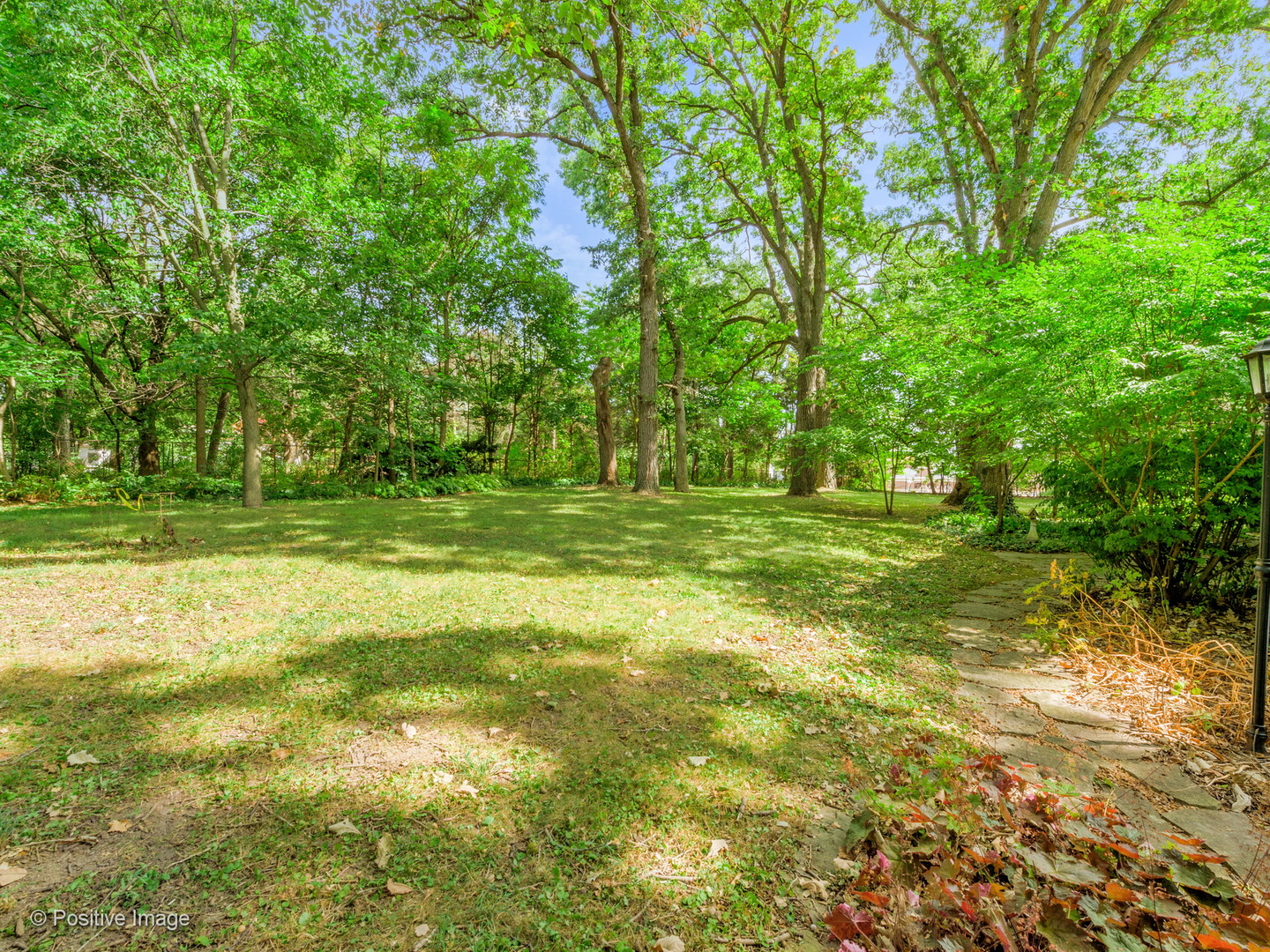 S206 Summit Drive Winfield, IL 60190 - Photo 34 of 34 a view of outdoor space with trees all around