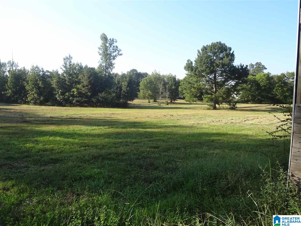 0 Highway 23, Unit 1 Springville, AL 35146 - Photo 3 of 10