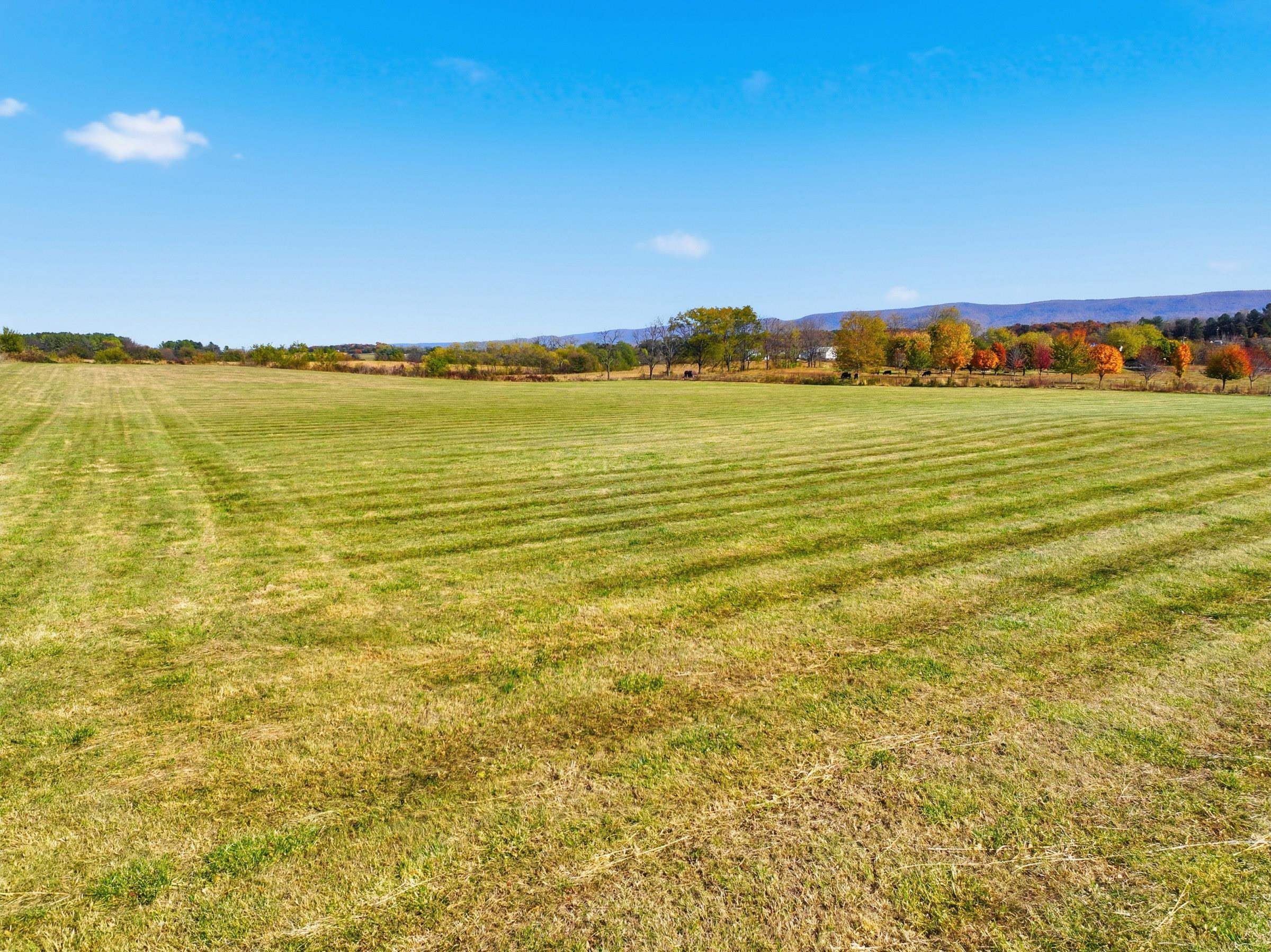0 Bauserman Road Mount Jackson, VA 22842 - Photo 15 of 17 a view of an ocean
