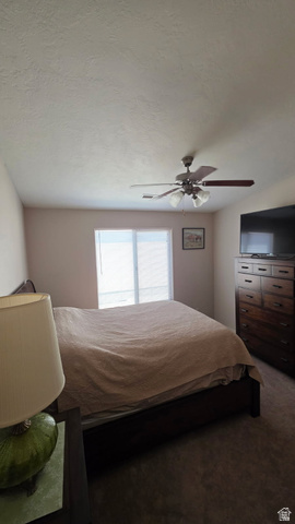 1330 North Dixie Downs Road, Unit 72 St. George, UT 84770 - Photo 16 of 21 Bedroom with ceiling fan, dark carpet, and a textured ceiling