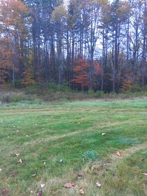 62 Nims Road Keene, NH 03431 - Photo 15 of 19