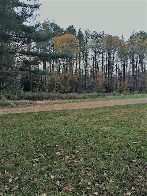 62 Nims Road Keene, NH 03431 - Photo 16 of 19