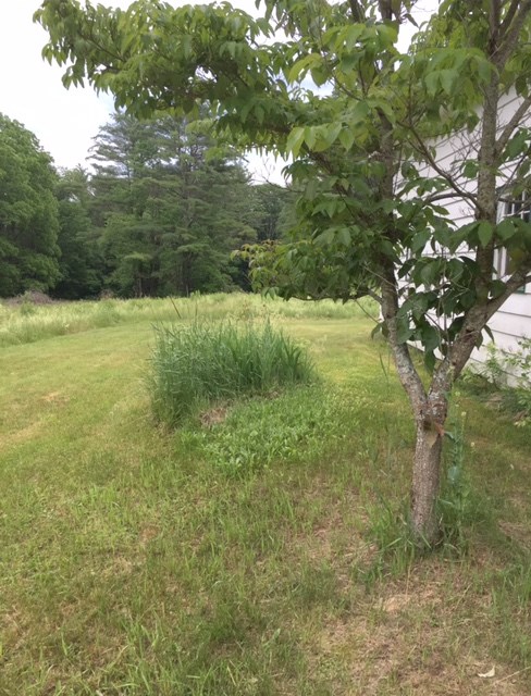 62 Nims Road Keene, NH 03431 - Photo 17 of 19