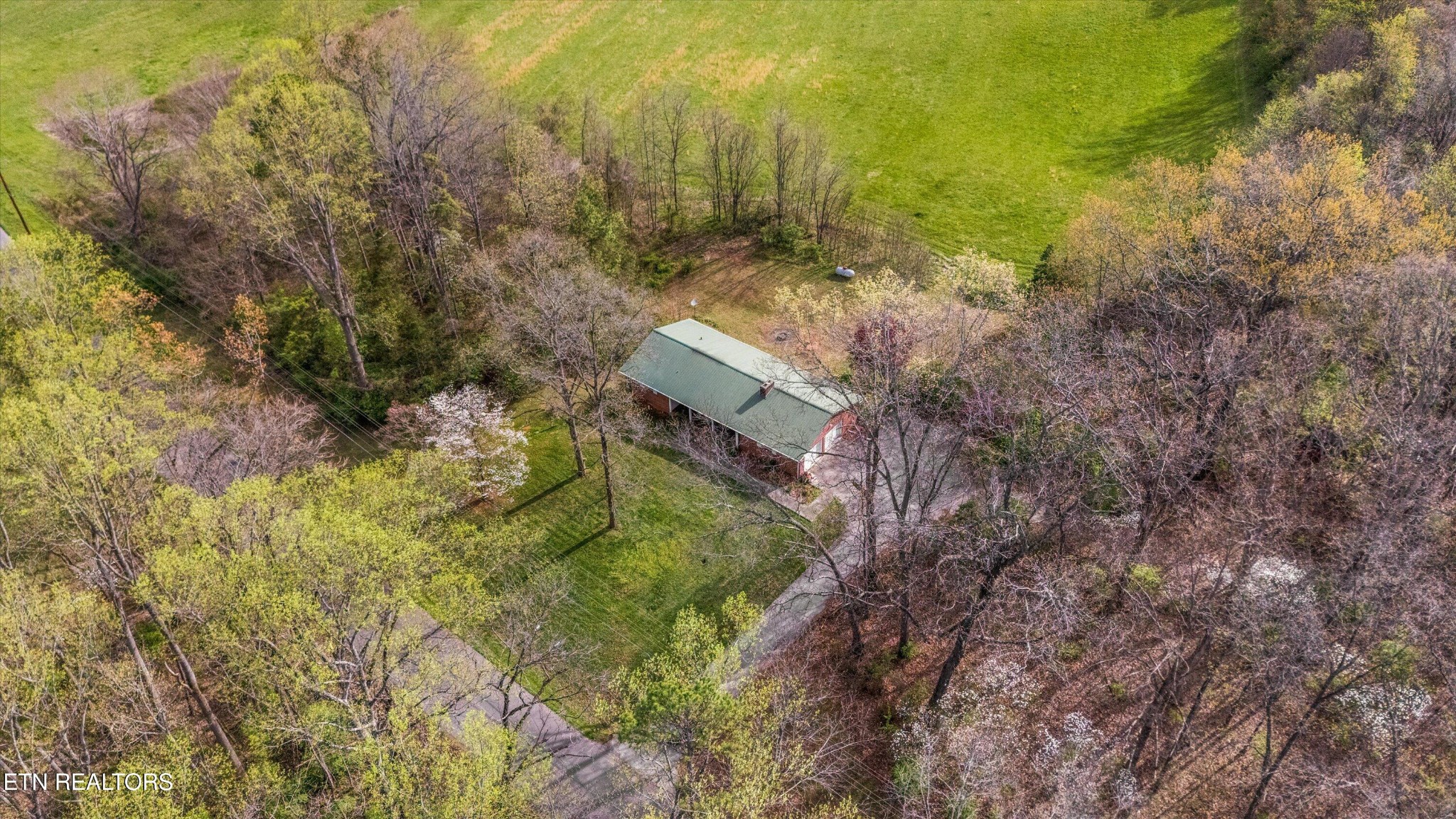 960 Talbott-Kansas Road Talbott, TN 37877 - Photo 40 of 43 a view of a yard with plants and large trees