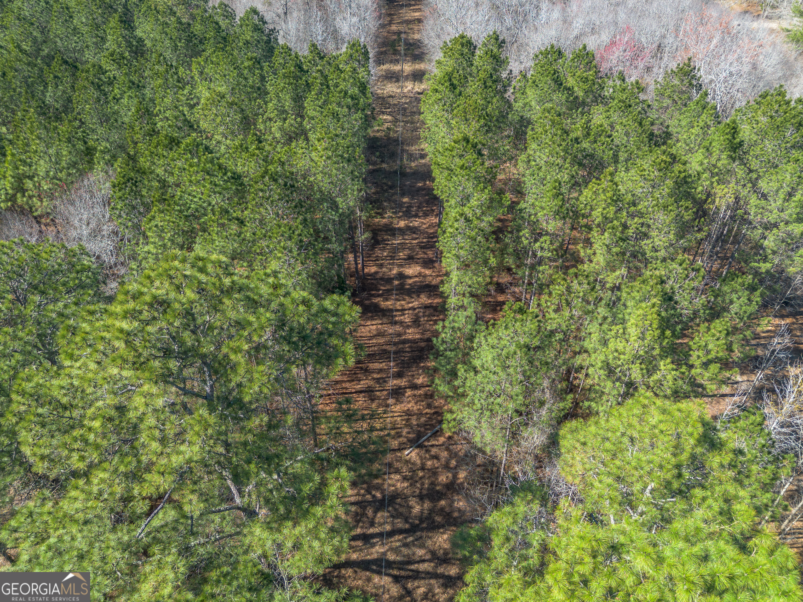 Lot 6 Golf Course Road Eastman, GA 31023 - Photo 4 of 10