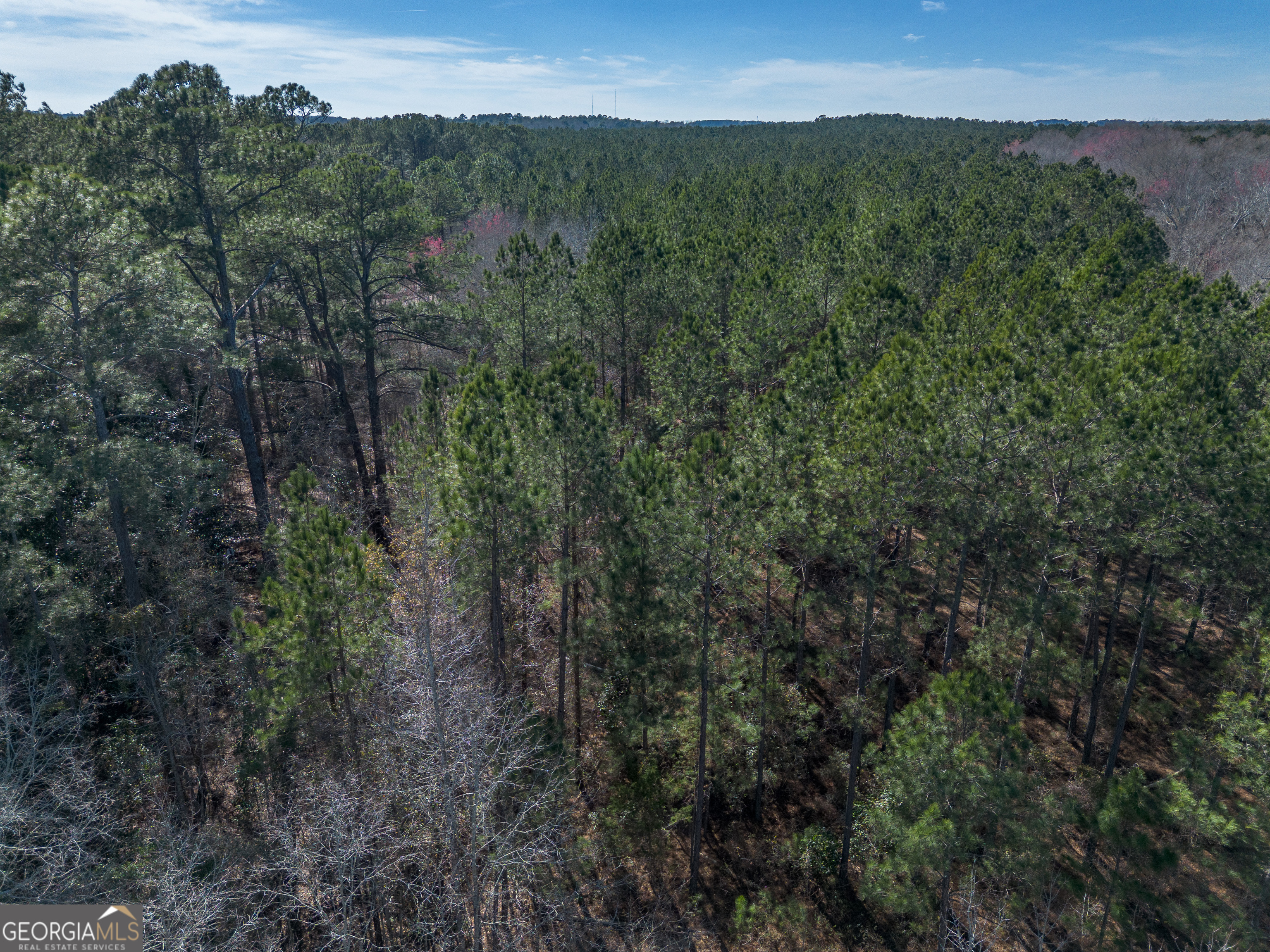 Lot 6 Golf Course Road Eastman, GA 31023 - Photo 5 of 10