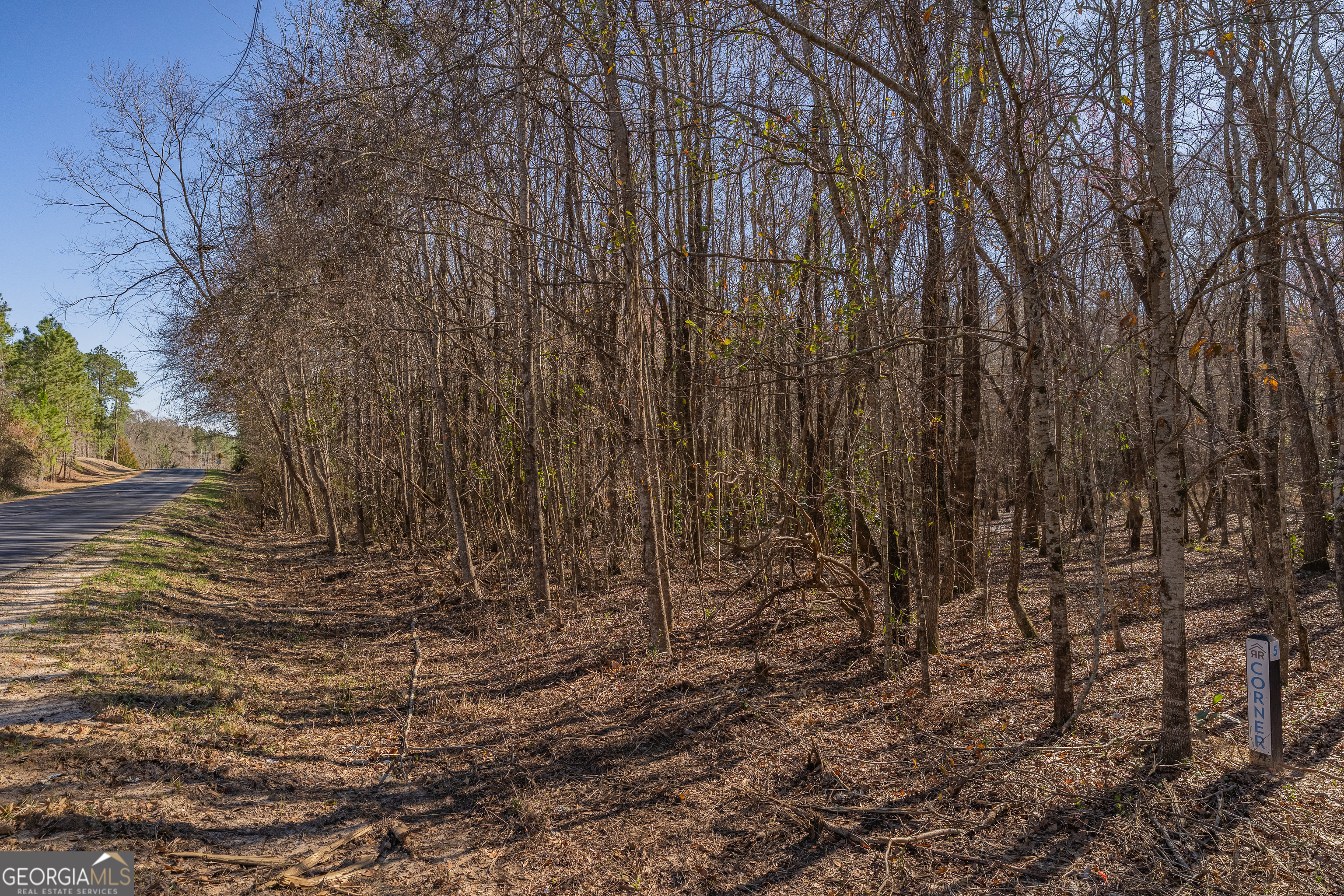 Lot 6 Golf Course Road Eastman, GA 31023 - Photo 6 of 10