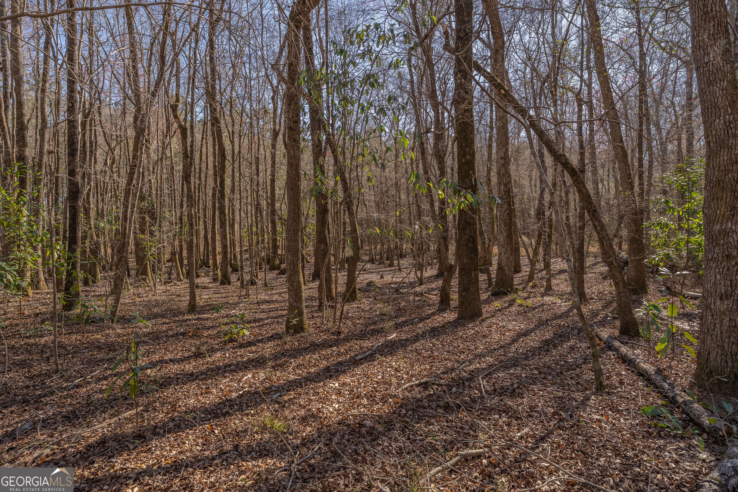 Lot 6 Golf Course Road Eastman, GA 31023 - Photo 7 of 10