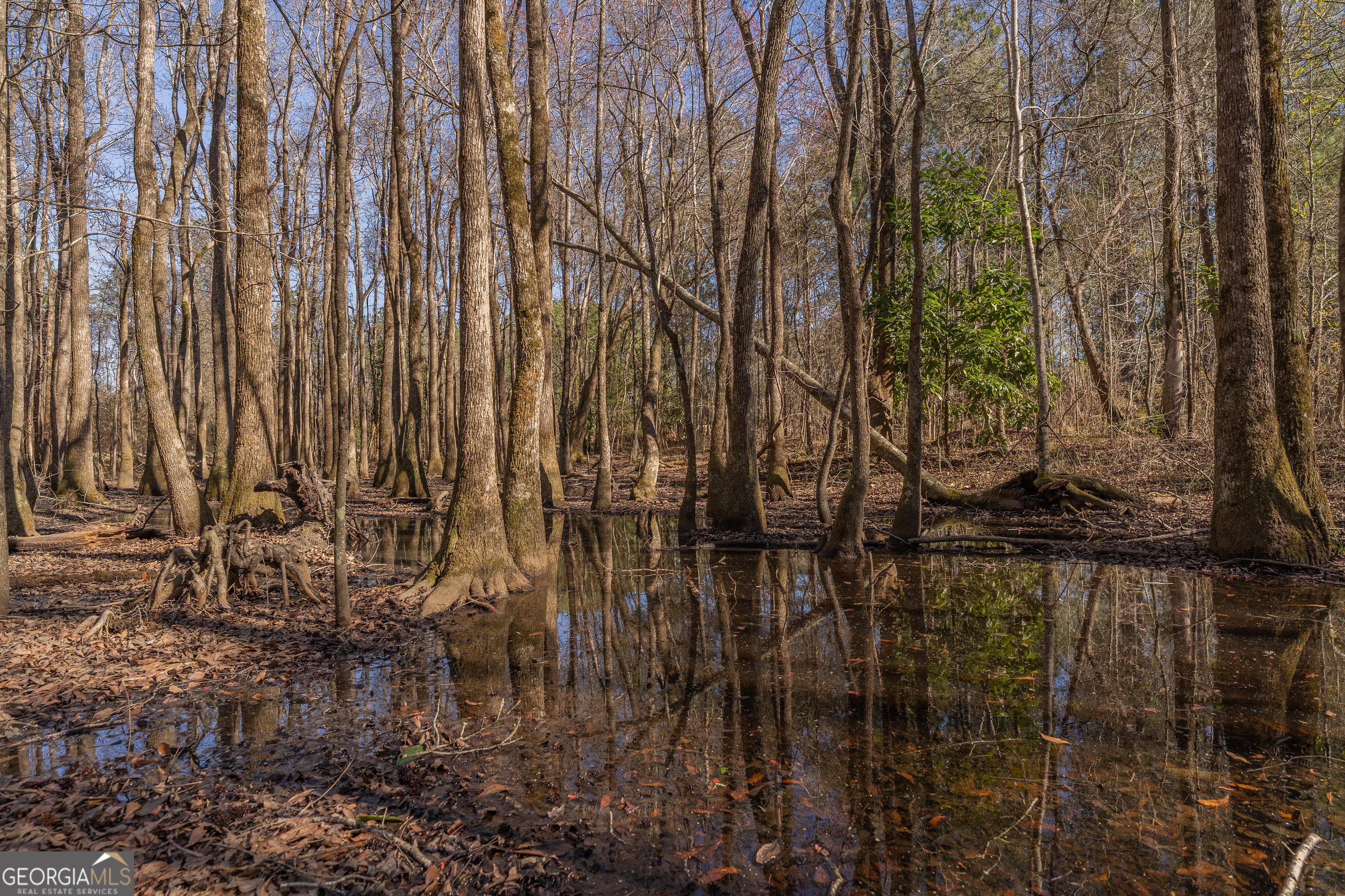 Lot 6 Golf Course Road Eastman, GA 31023 - Photo 8 of 10
