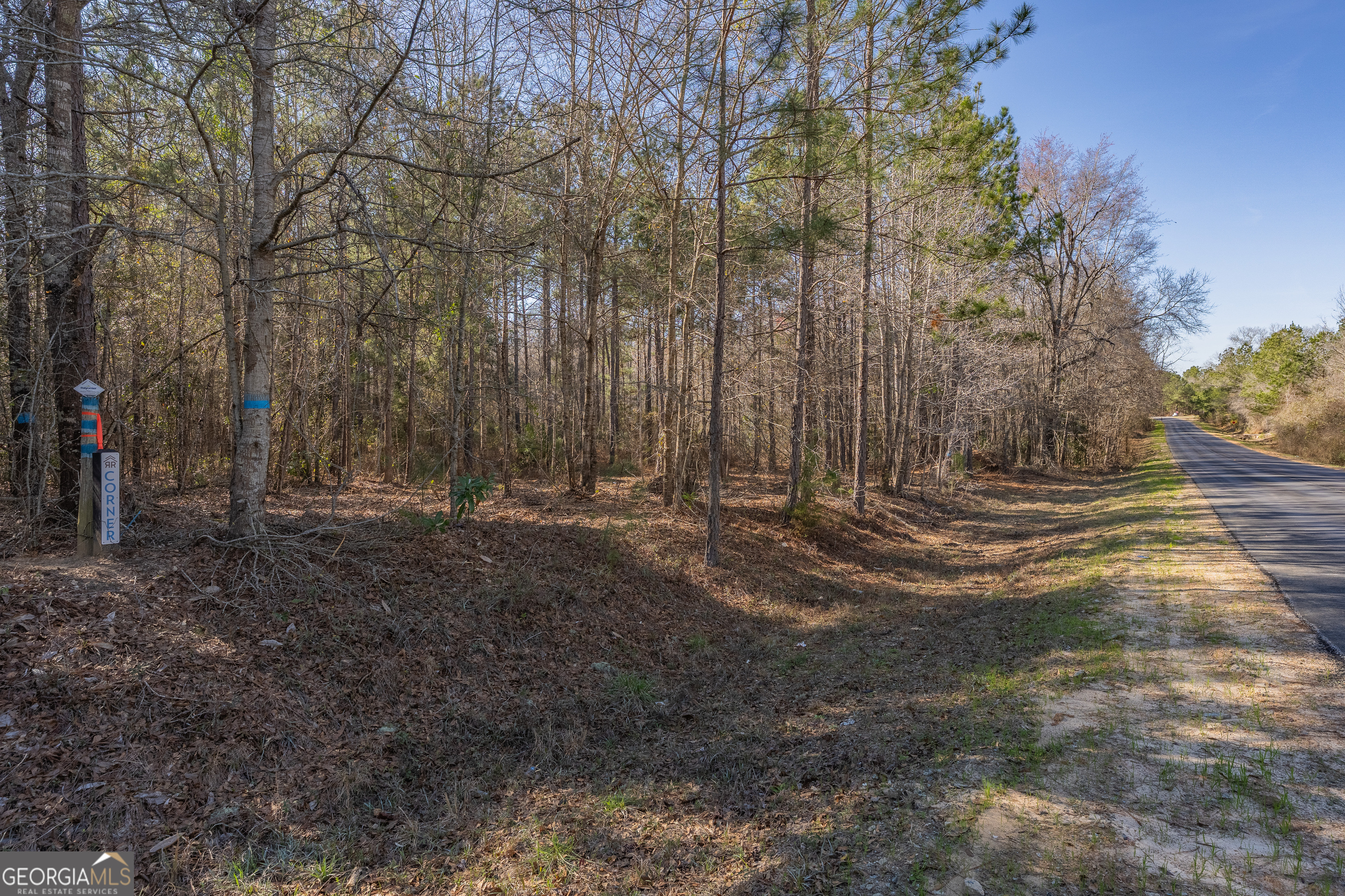 Lot 6 Golf Course Road Eastman, GA 31023 - Photo 9 of 10