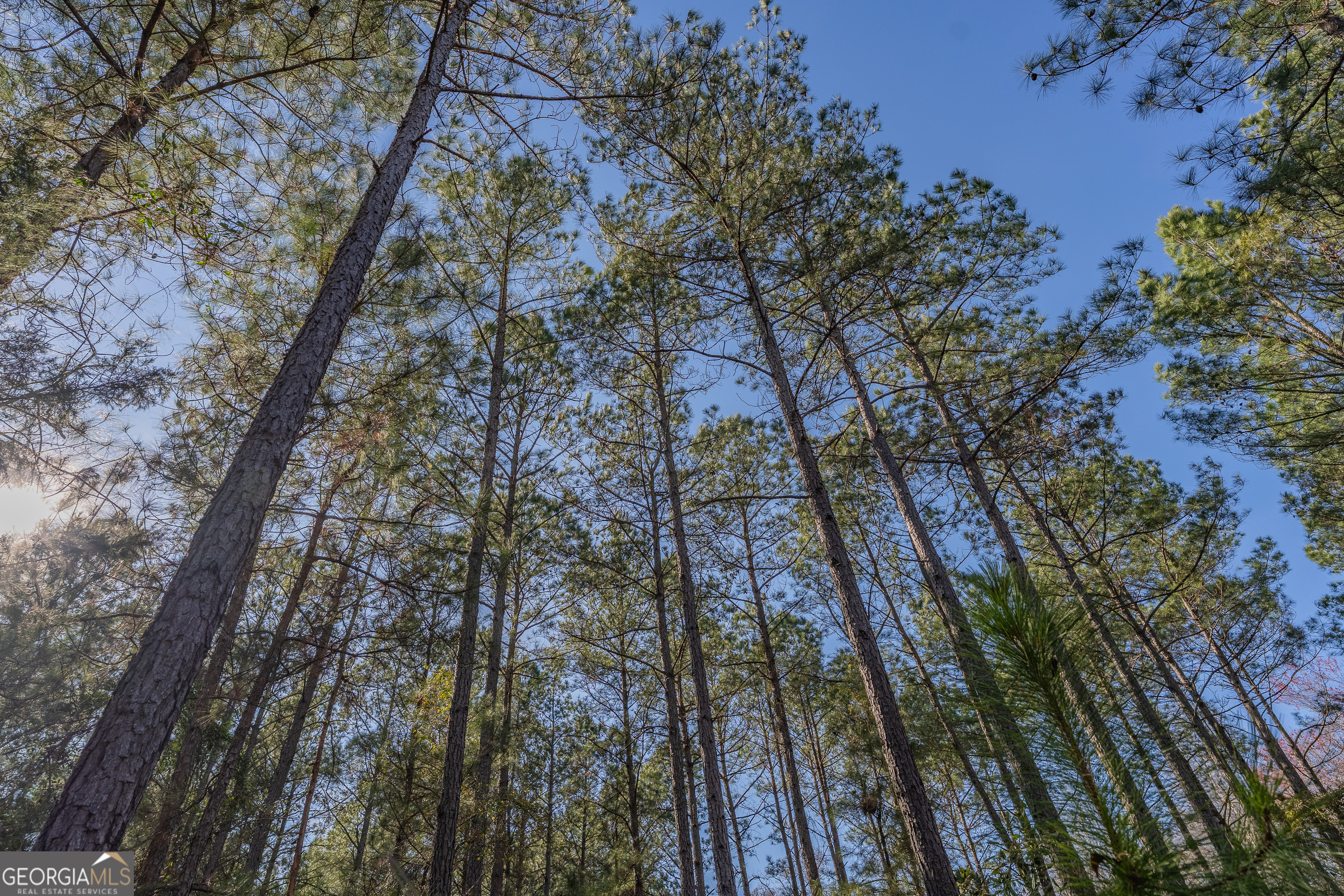 Lot 6 Golf Course Road Eastman, GA 31023 - Photo 10 of 10