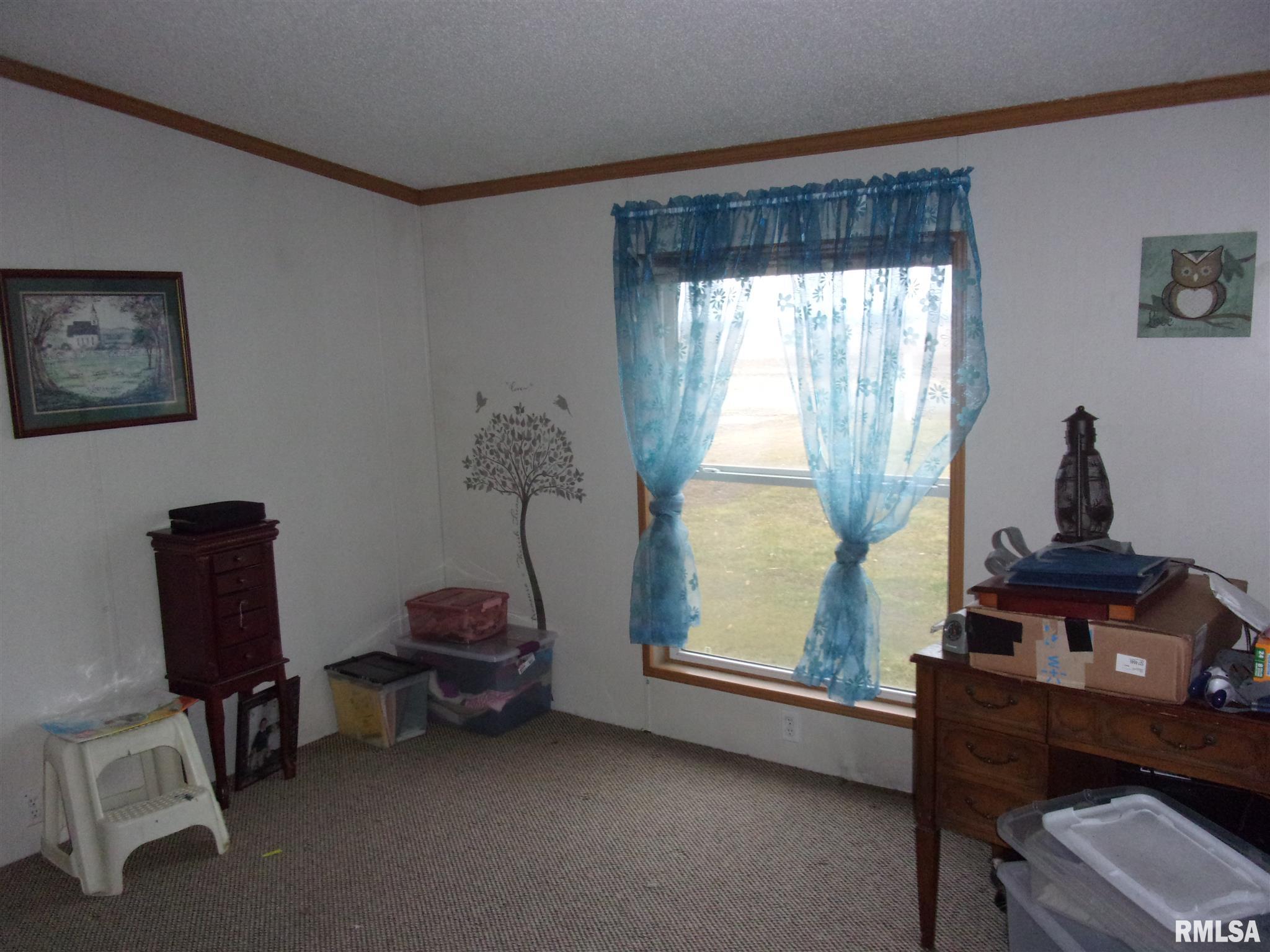 12725 Jolliff Bridge Road Centralia, IL 62801 - Photo 19 of 42