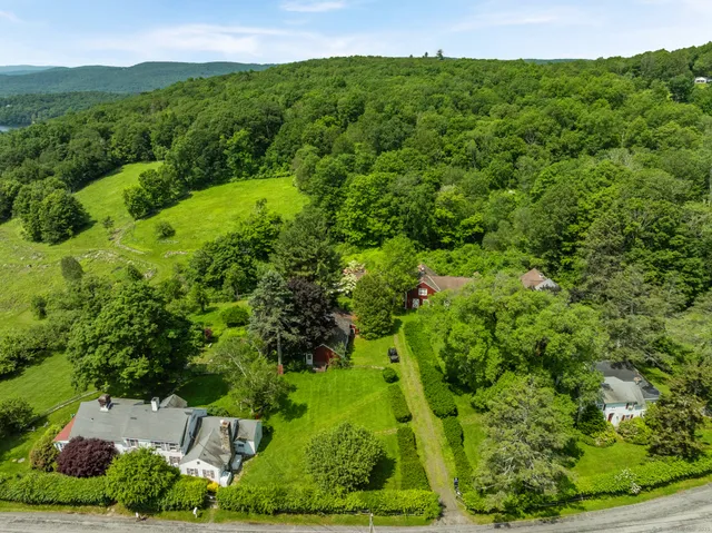 a view of a lush green forest with trees and grass