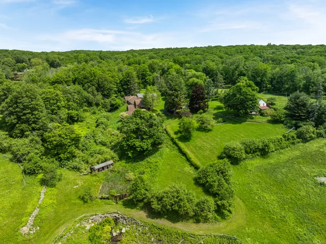 a view of a backyard with plants and a garden
