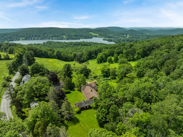 a view of a lush green forest with lots of trees