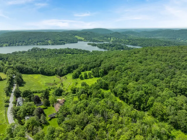 a view of a green field with lots of plants