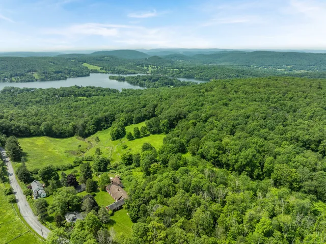 a view of a green field with lots of plants in it