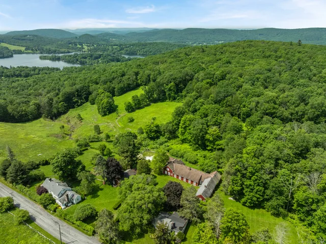 a view of a lush green forest with trees in the background