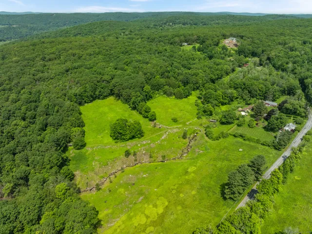 a view of a big yard with large trees