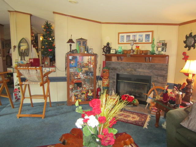 150 Fralins Road Rocky Mount, VA 24151 - Photo 12 of 13 Fireplace