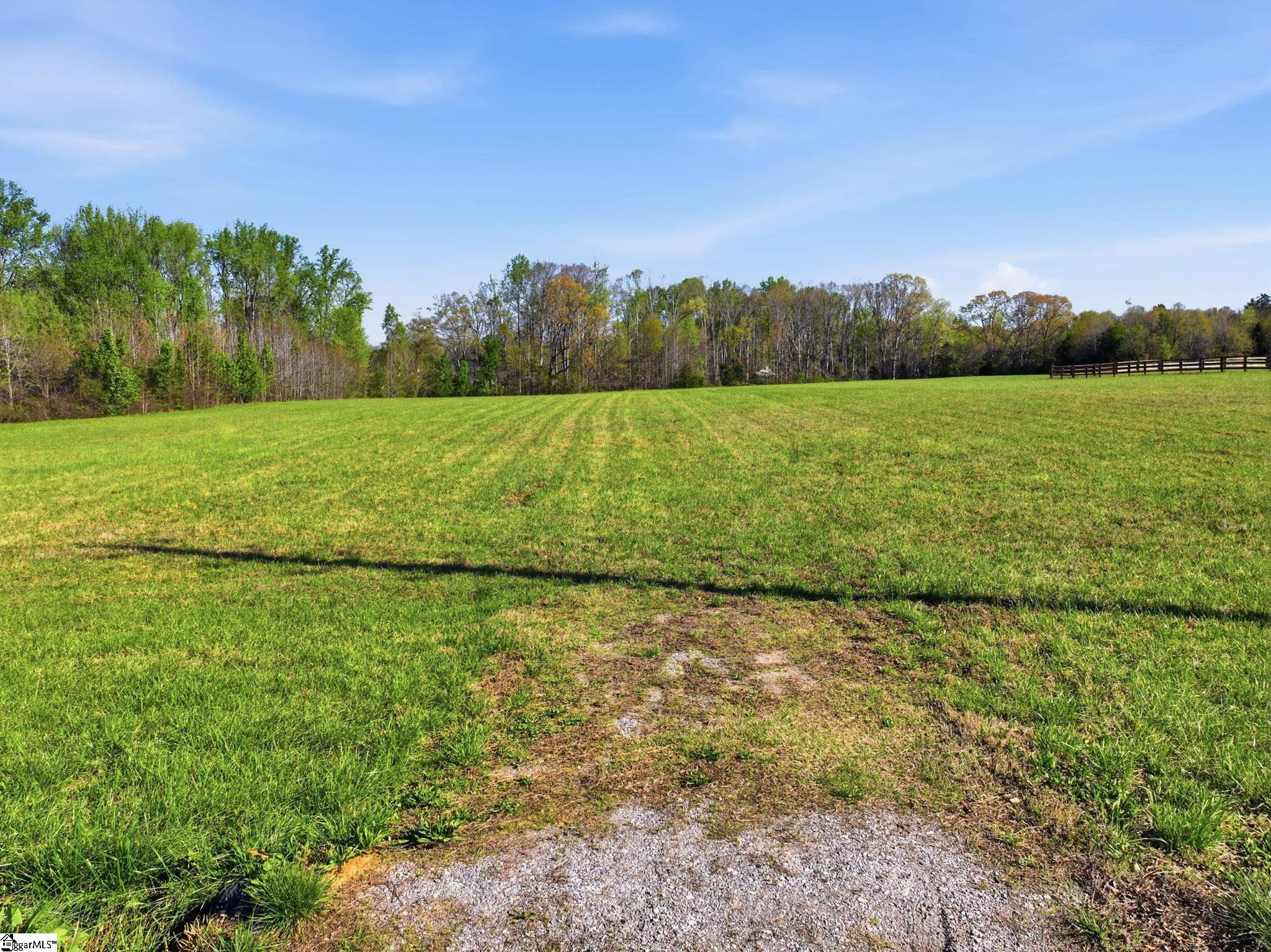 0 Andrews Road Fountain Inn, SC 29644 - Photo 2 of 17 Gallery Image 2