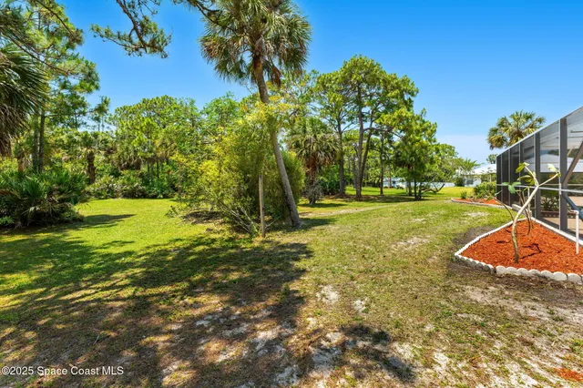 a view of a house with backyard and tree