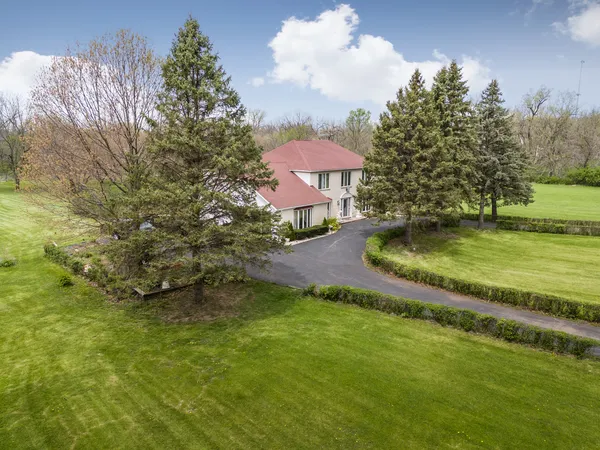 a view of a garden with a bench