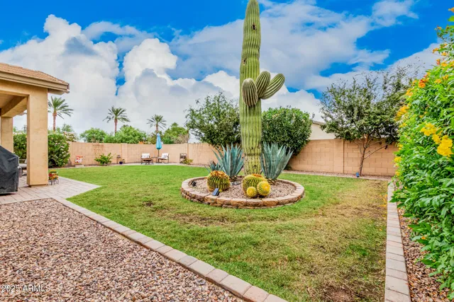 a view of a backyard with plants