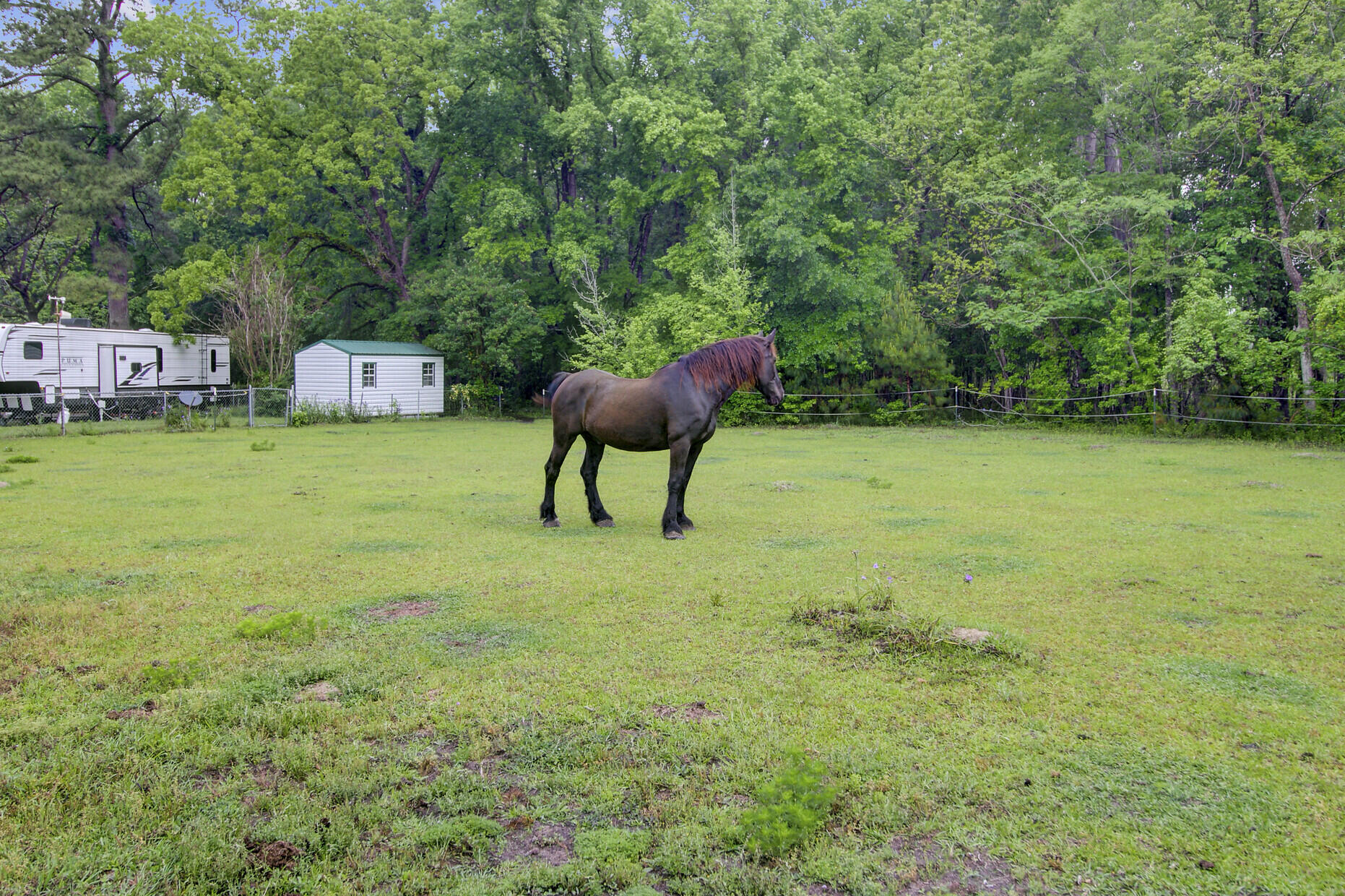 1050 Mt Zion Road St. George, SC 29477 - Photo 14 of 48 1050 Mt Zion Road