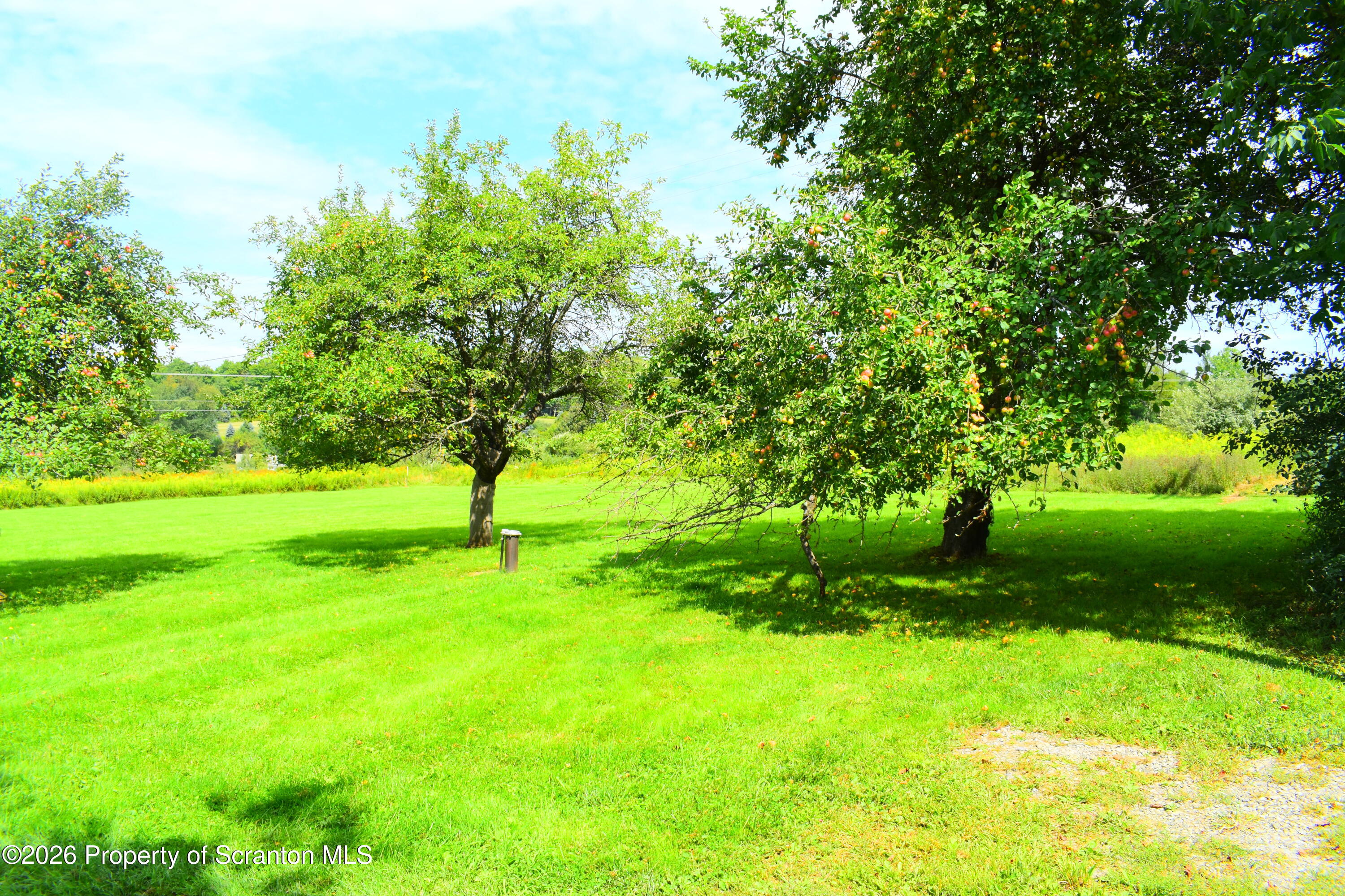 101 Kane Road Friendsville, PA 18818 - Photo 9 of 25 Yrad & apple trees