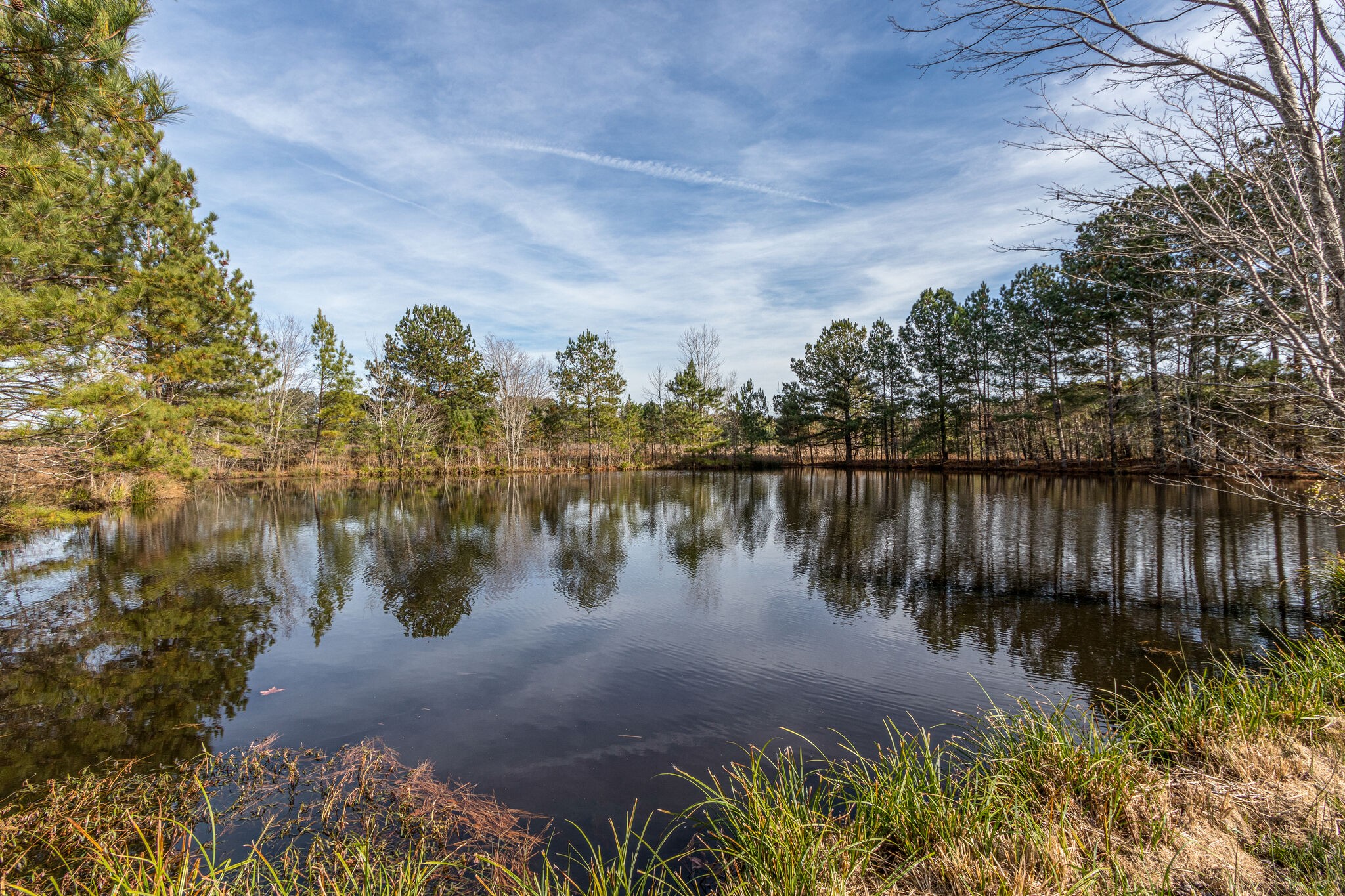 3083 Hickerson Road Manchester, TN 37355 - Photo 30 of 34 a view of lake