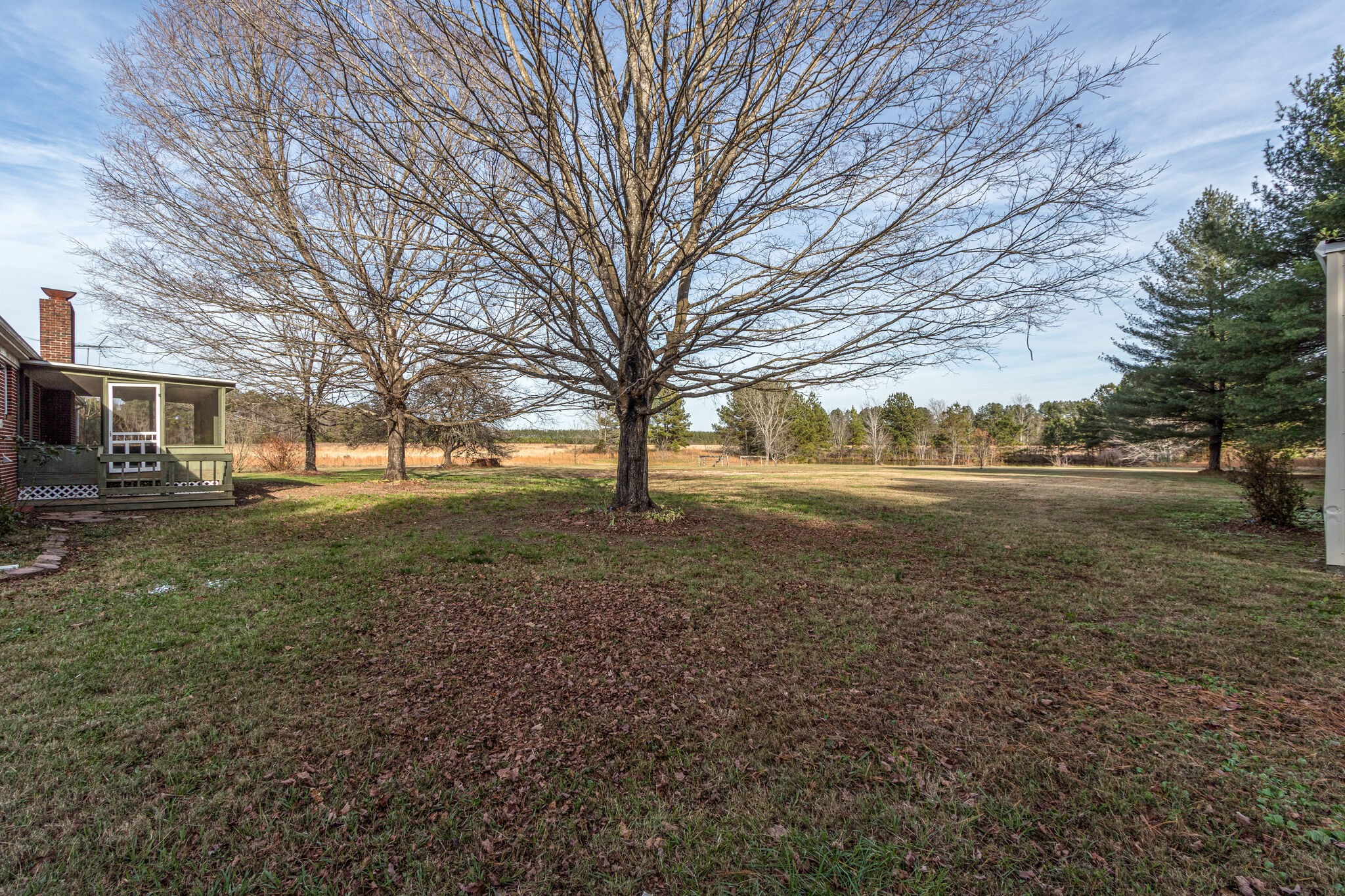 3083 Hickerson Road Manchester, TN 37355 - Photo 33 of 34 a view of dirt yard with a large tree