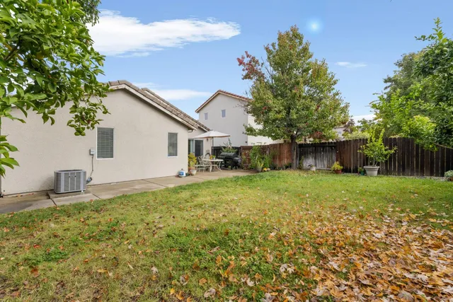 a backyard of a house with plants and large tree