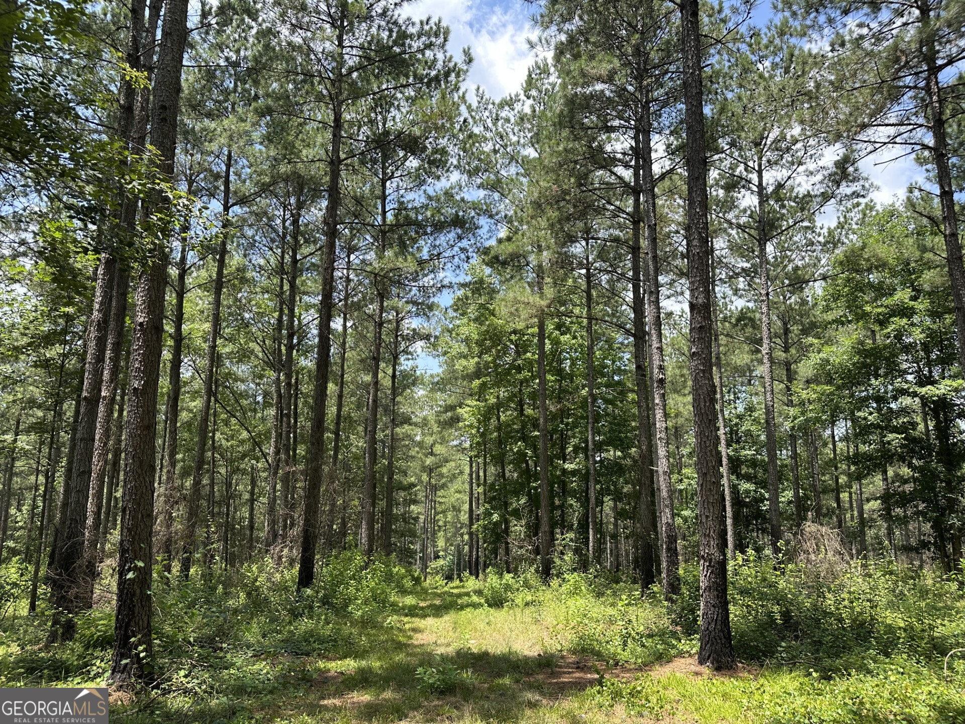 360 Happy Hollow Road Comer, GA 30629 - Photo 11 of 31