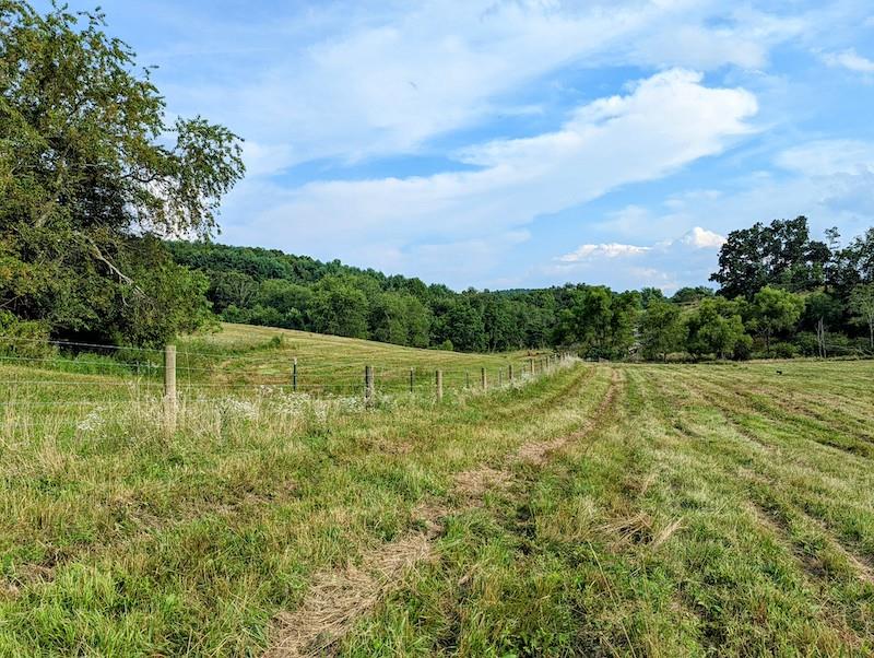 Tbd Red Oak Grove Road Northeast Floyd, VA 24091 - Photo 25 of 33 Gallery Image 25