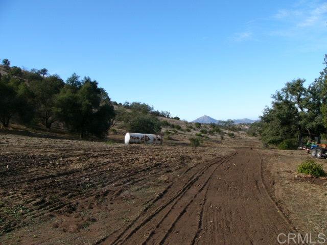 Gallery Image 7
