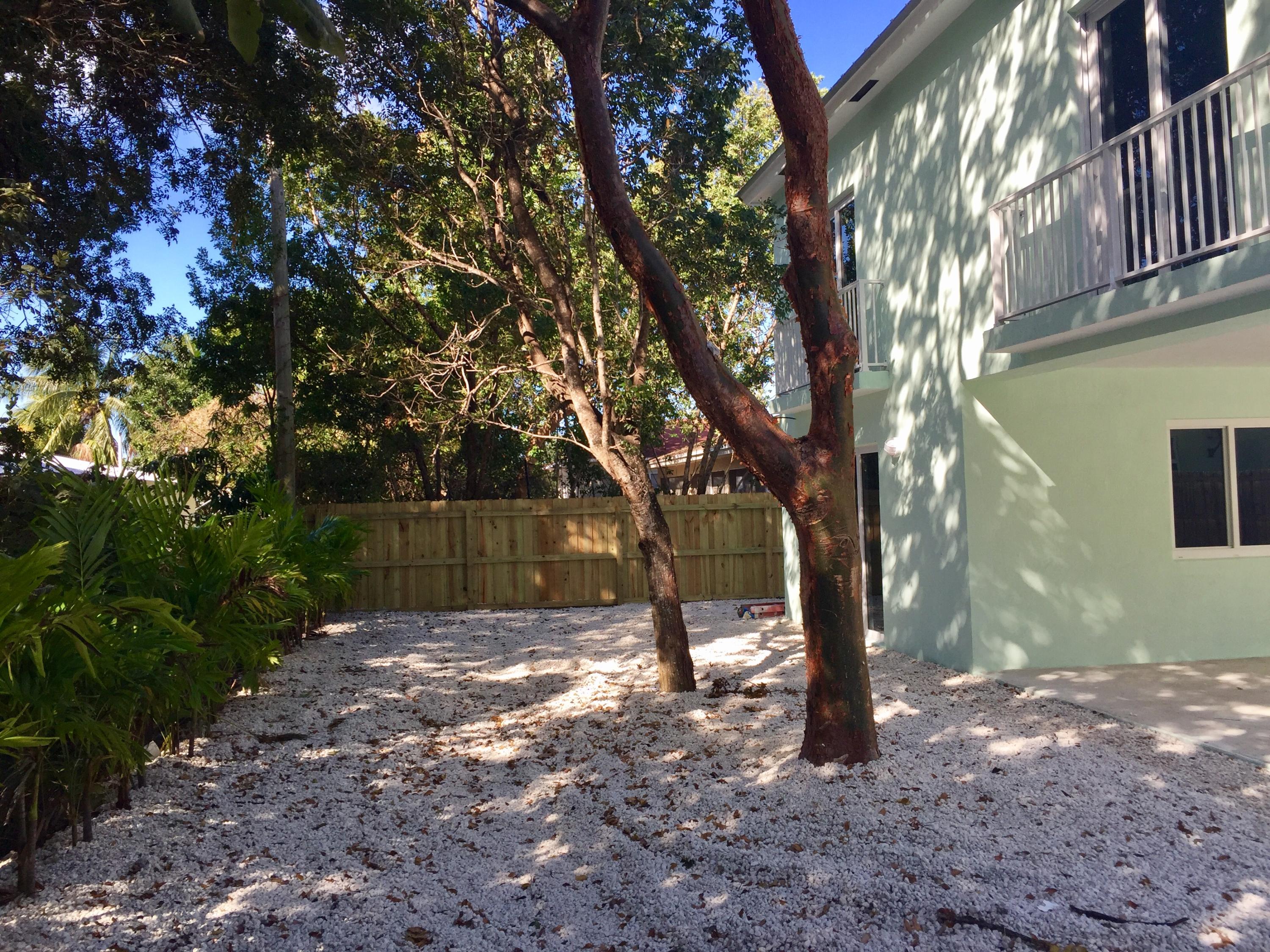 Backyard 2