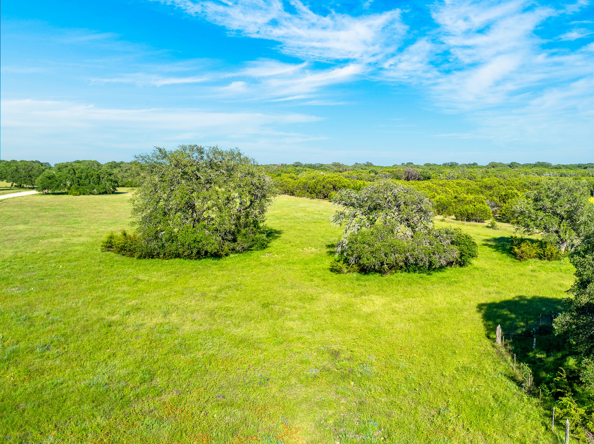 32 Feild Ranch Road Burnet, TX 78611 - Photo 22 of 40 Acres of verdant pastureland offer a peaceful natural setting with mature trees.