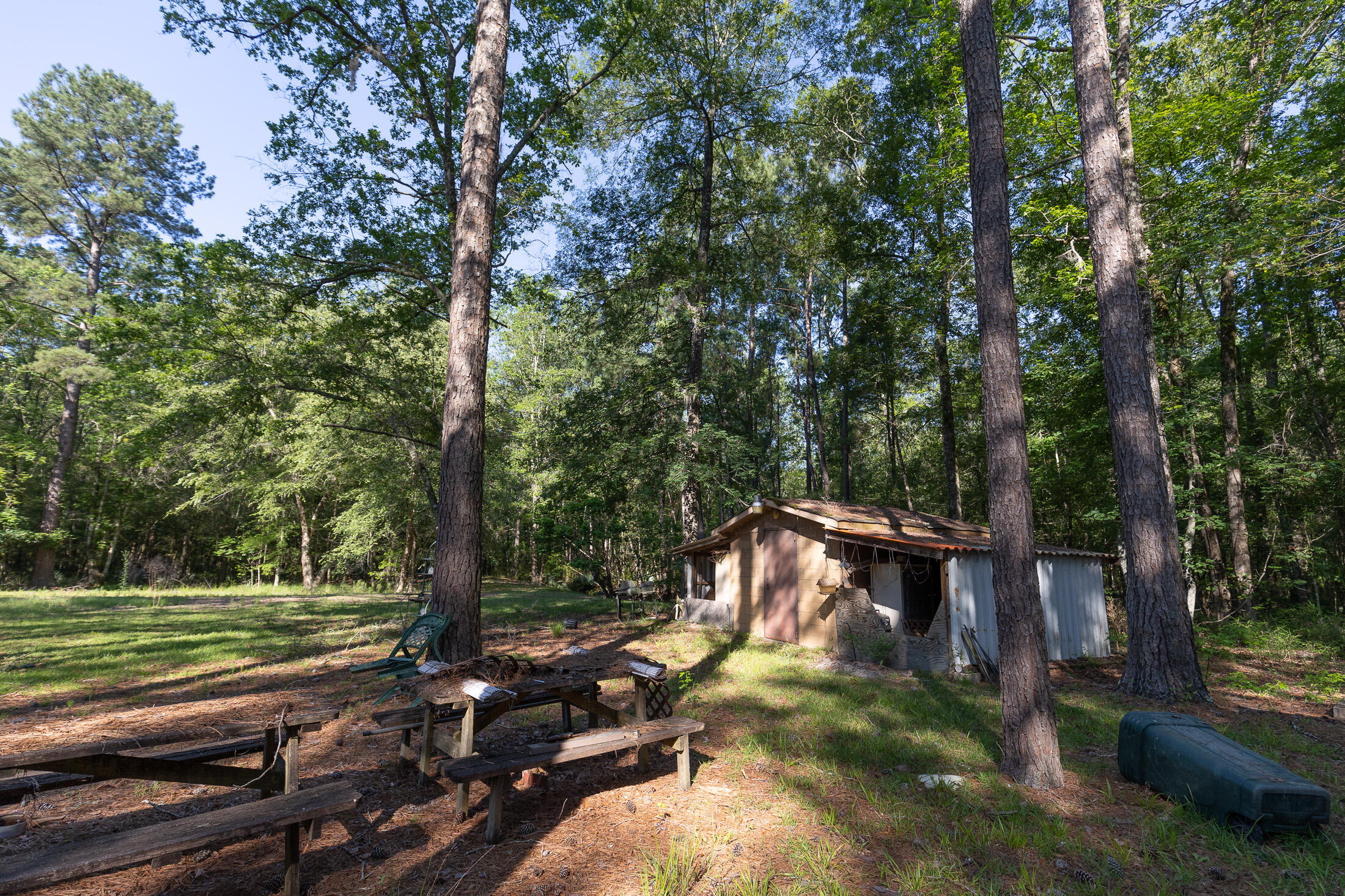 801 Proctor Road Cope, SC 29038 - Photo 12 of 16 801 Proctor exterior 060222-16