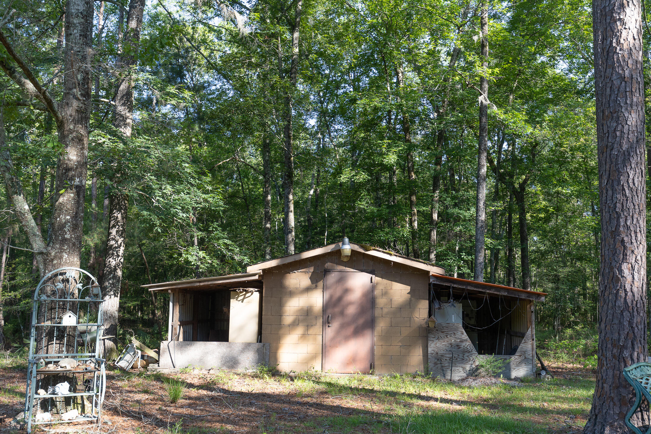 801 Proctor Road Cope, SC 29038 - Photo 13 of 16 801 Proctor exterior 060222-12