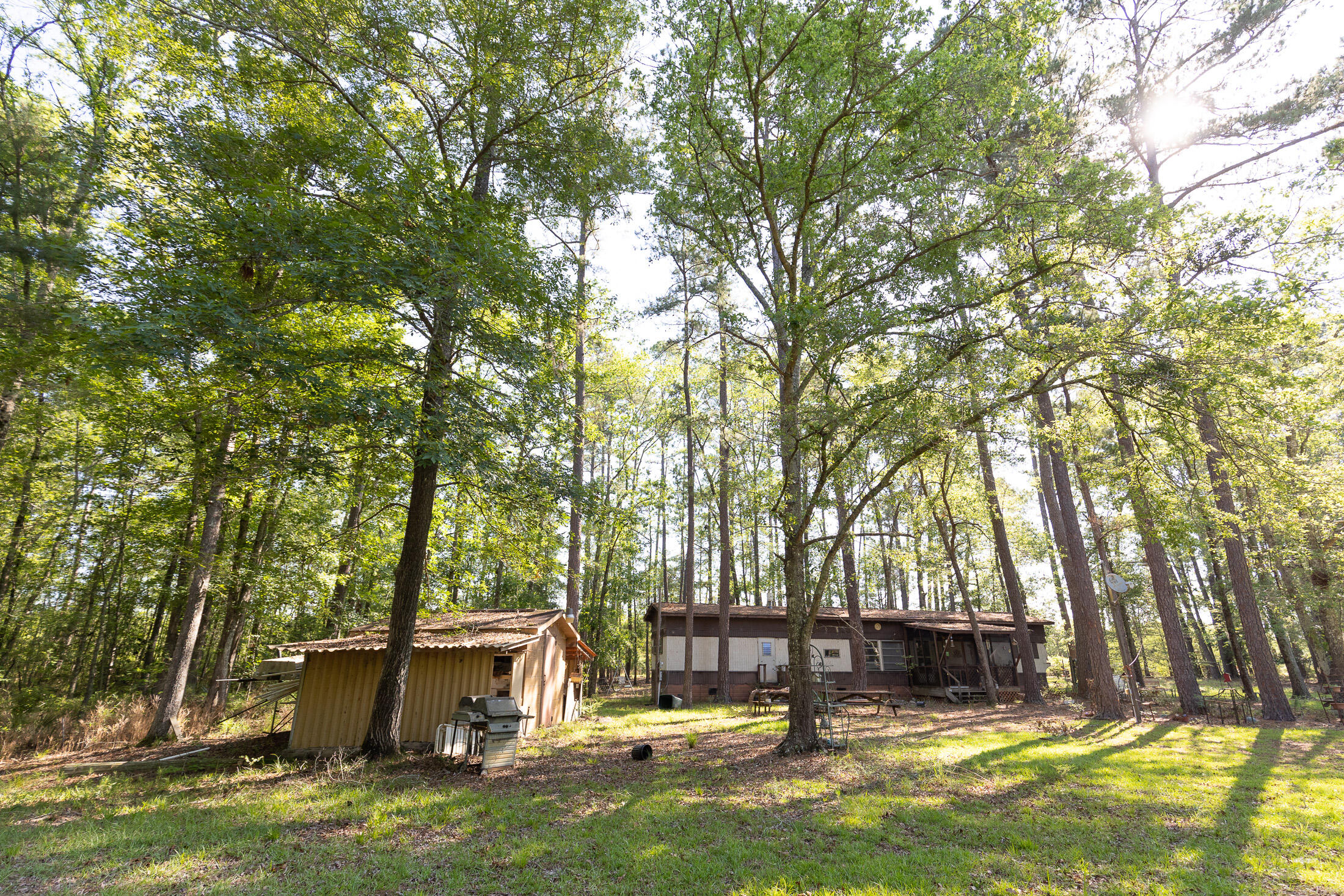 801 Proctor Road Cope, SC 29038 - Photo 14 of 16 801 Proctor exterior 060222-28