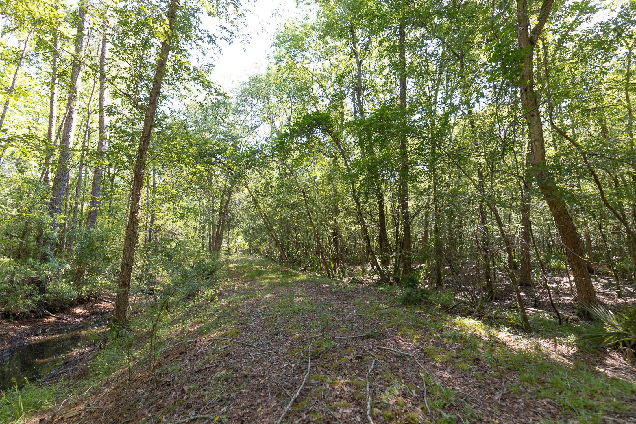 801 Proctor Road Cope, SC 29038 - Photo 9 of 16 801 Proctor exterior 060222-76