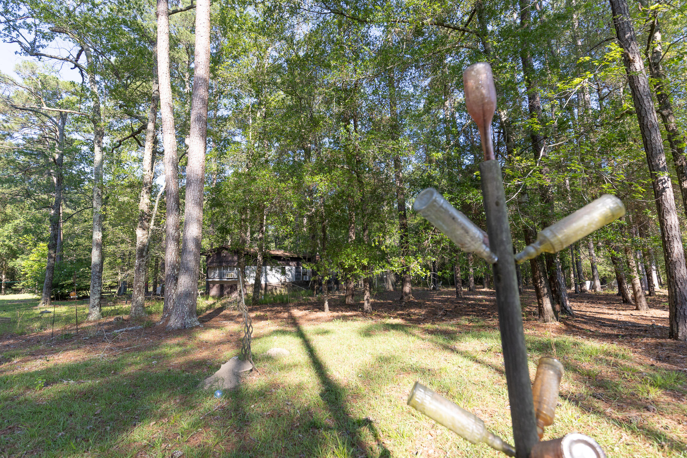 801 Proctor Road Cope, SC 29038 - Photo 10 of 16 801 Proctor exterior 060222-6