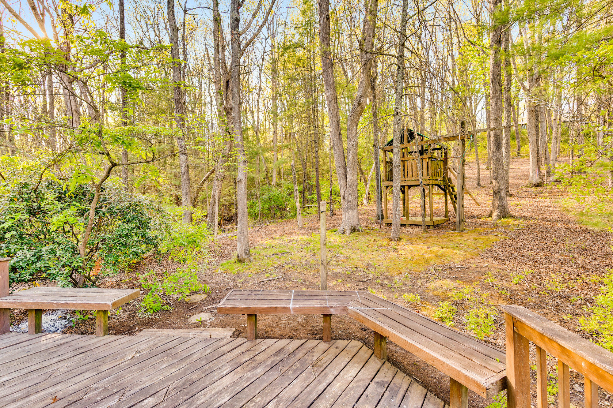 408 Fort Trace Road Lookout Mountain, GA 30750 - Photo 57 of 68 Backyard